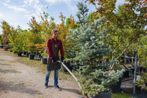 Best Tree Mulching  in Cecil Bishop, PA